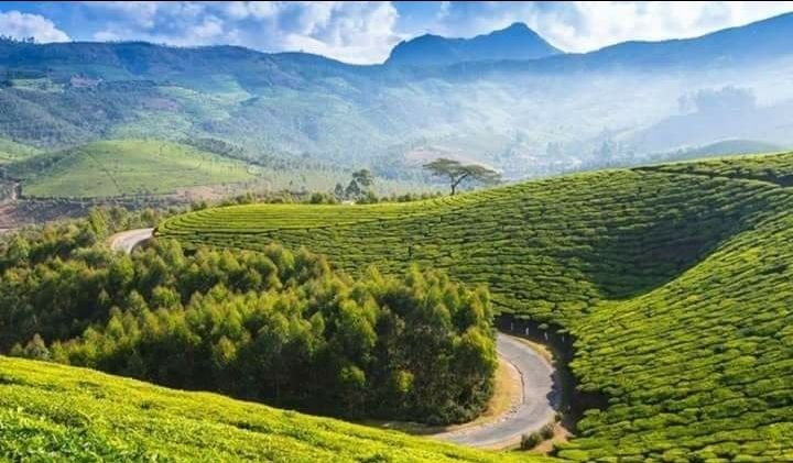 Photo of औली, Uttarakhand, India by Walia Sachin
