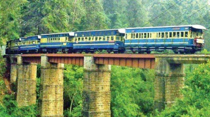 Photo of मुन्नार, Kerala, India by Walia Sachin