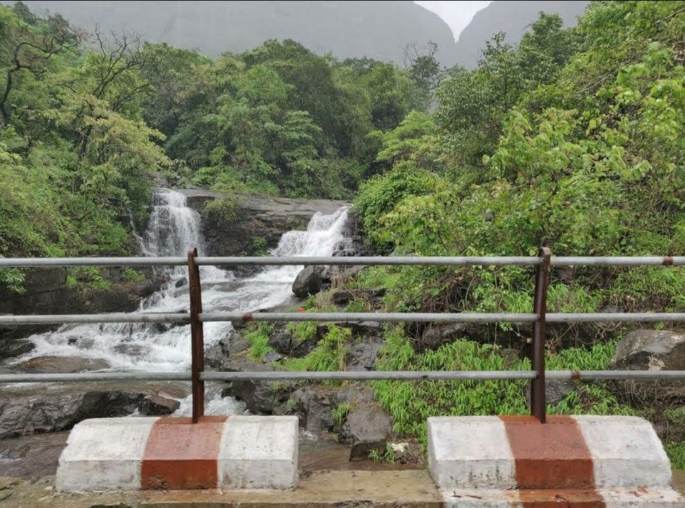 Photo of मानसून स्पेशल: अब हिमाचल जैसी ट्रेकिंग का अनुभव लीजिए महाराष्ट्र के मालशेज़ घाट पर। by Walia Sachin