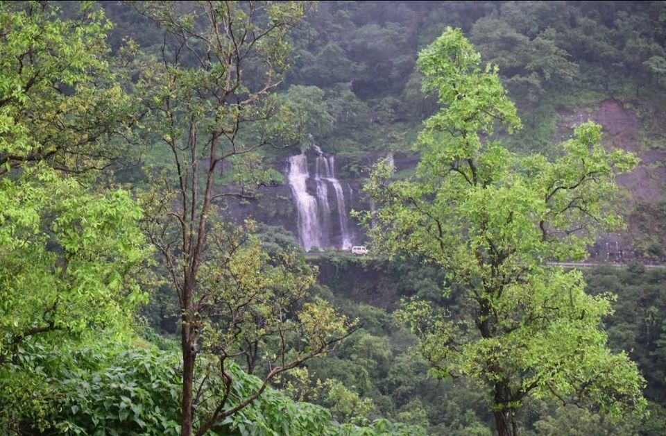 Photo of मानसून स्पेशल: अब हिमाचल जैसी ट्रेकिंग का अनुभव लीजिए महाराष्ट्र के मालशेज़ घाट पर। by Walia Sachin