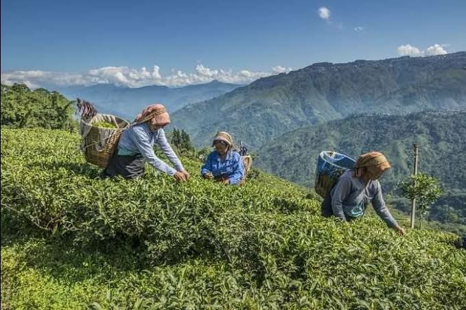 Photo of यह हैं भारत के सबसे कम बजट के घुमने लायक स्थान जहांँ हर कोई जाना चाहे। by Walia Sachin