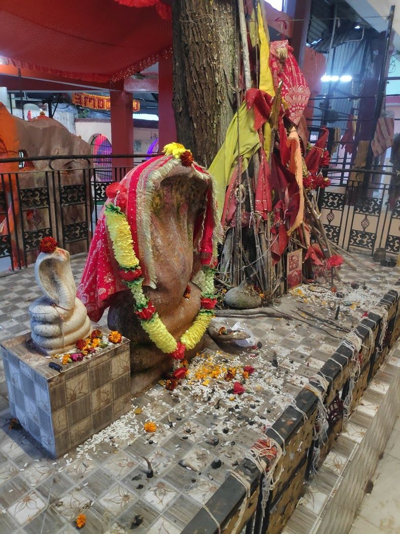 Photo of एक ऐसा रहस्यमयी नाग मन्दिर, जहांँ जाने मात्र से ही जहरीले सांप और बिच्छु के काटे हुए होते हैं स्वस्थ by Walia Sachin