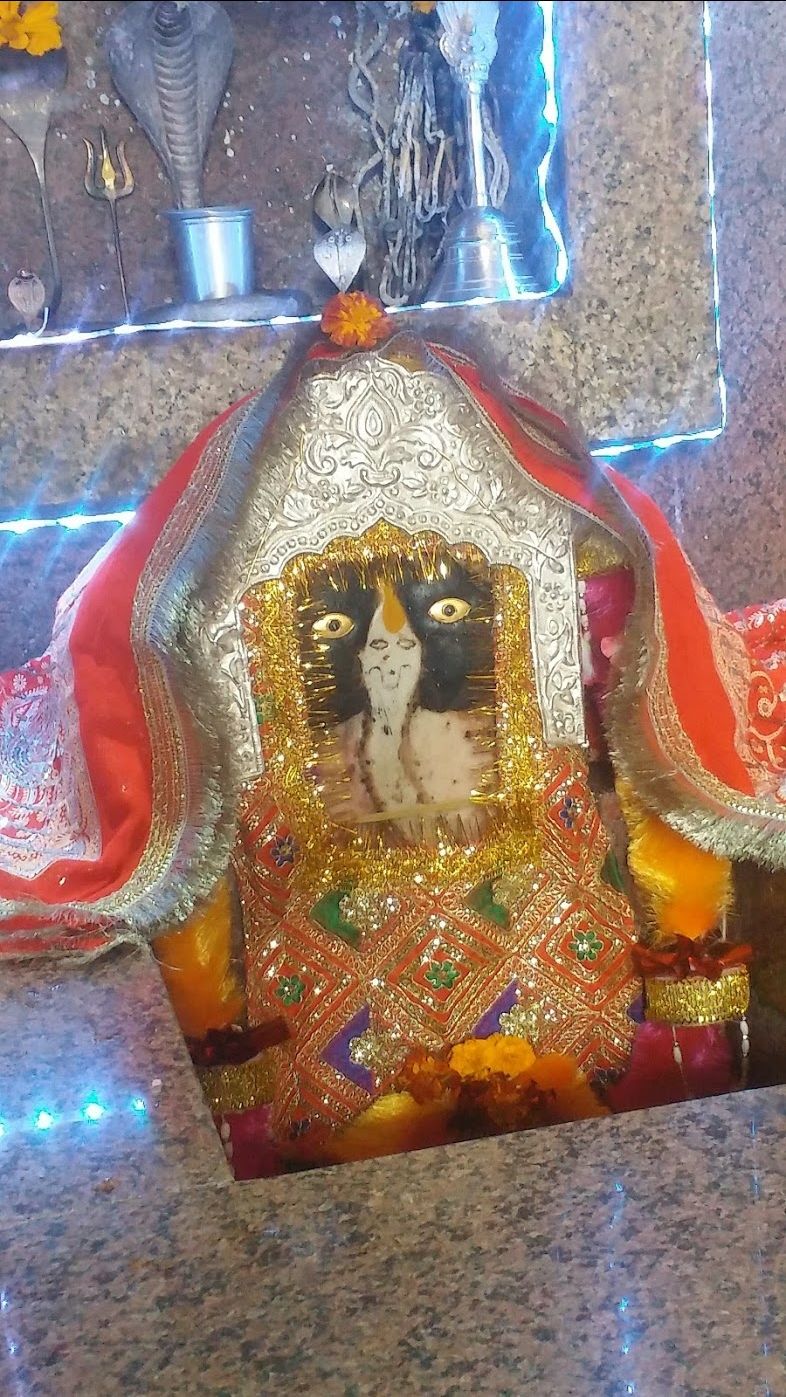 Photo of एक ऐसा रहस्यमयी नाग मन्दिर, जहांँ जाने मात्र से ही जहरीले सांप और बिच्छु के काटे हुए होते हैं स्वस्थ by Walia Sachin