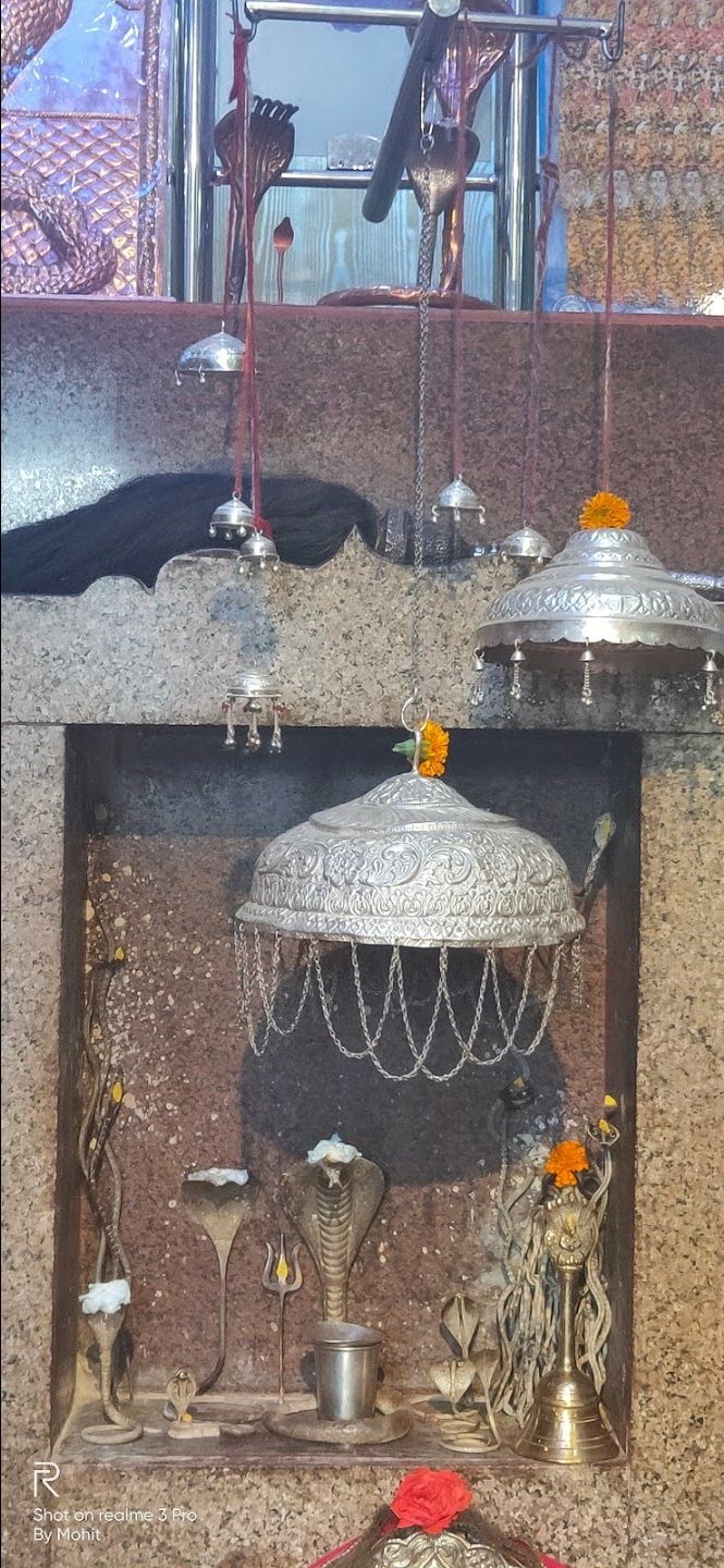 Photo of एक ऐसा रहस्यमयी नाग मन्दिर, जहांँ जाने मात्र से ही जहरीले सांप और बिच्छु के काटे हुए होते हैं स्वस्थ by Walia Sachin