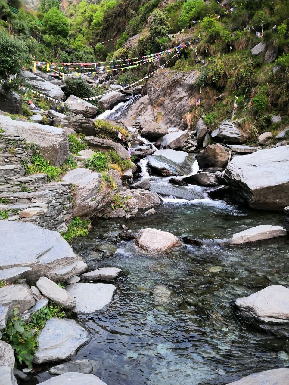 Photo of एक ऐसा रहस्यमयी नाग मन्दिर, जहांँ जाने मात्र से ही जहरीले सांप और बिच्छु के काटे हुए होते हैं स्वस्थ by Walia Sachin