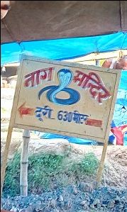 Photo of एक ऐसा रहस्यमयी नाग मन्दिर, जहांँ जाने मात्र से ही जहरीले सांप और बिच्छु के काटे हुए होते हैं स्वस्थ by Walia Sachin