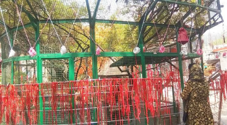Photo of हिमाचल में एक ऐसा स्थान जहांँ साक्षात शिव के अंश रूपी बाबा बालक नाथ का निवास है by Walia Sachin
