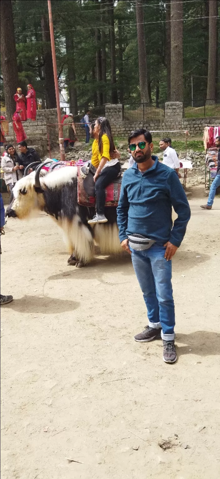 Photo of शामों की शाम हिडिम्बा मन्दिर की शाम by Sachin walia