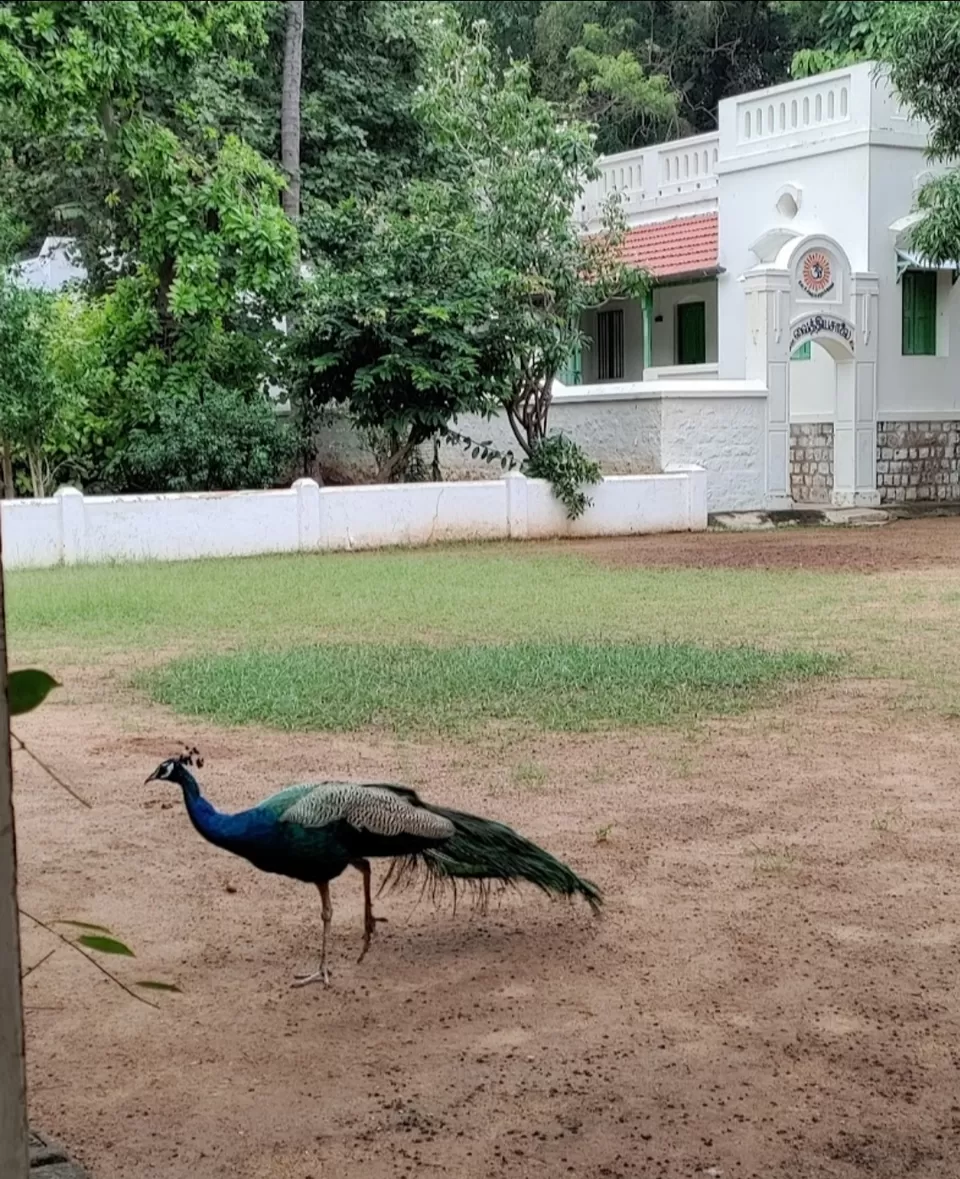 Photo of भारत के 5 ऐसे खूबसूरत आश्रम जहां आपको रहने और खाने की सुविधा फ्री में दी जाती है। by Sachin walia
