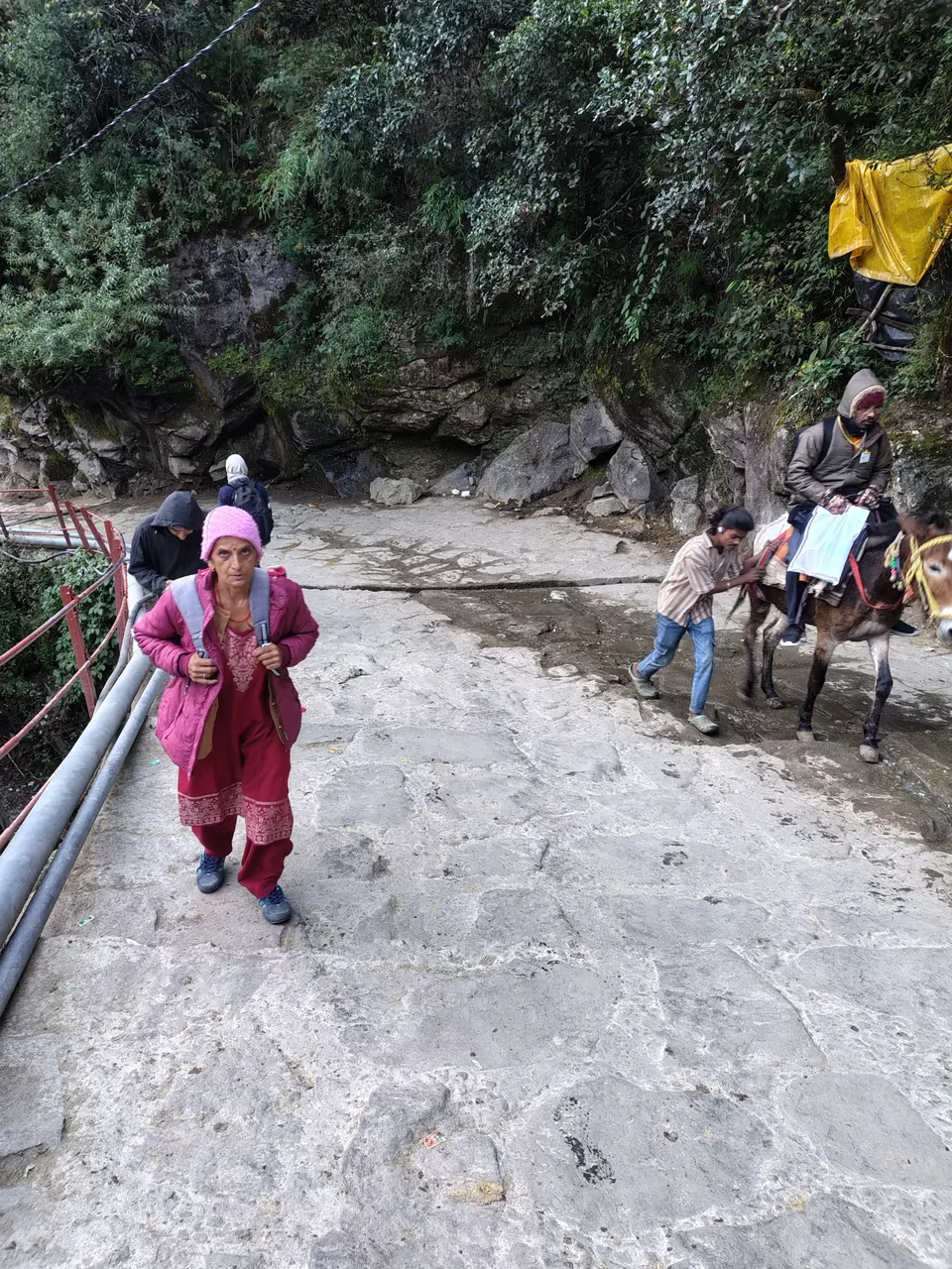 Photo of 🕉️ मां के साथ एक पवित्र सफर – मेरी केदारनाथ यात्रा का भावनात्मक अनुभव by Sachin walia 