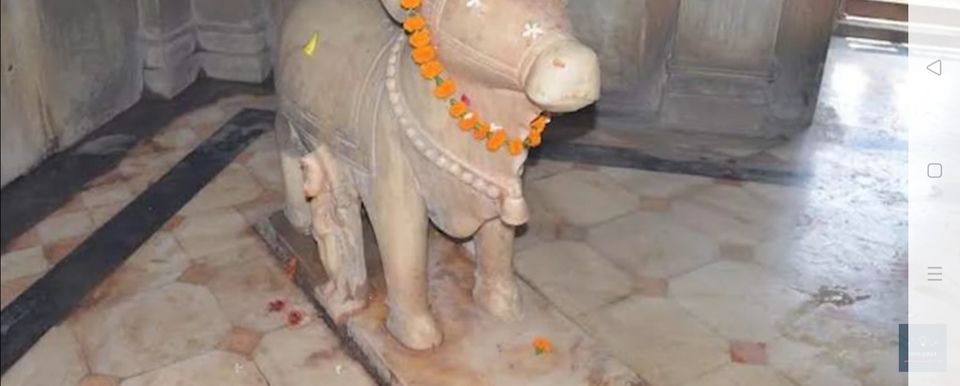 Photo of मंडूक तंत्र पर बना भारत का इकलौता मेंढक मंदिर यहां शिव शिवलिंग दिन में बदलता है तीन बार रंग। by Mukesh Kumar