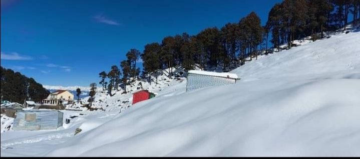 Photo of हिमाचल प्रदेश का एक छोटा-सा स्वर्ग-जीभी। by Mukesh Kumar