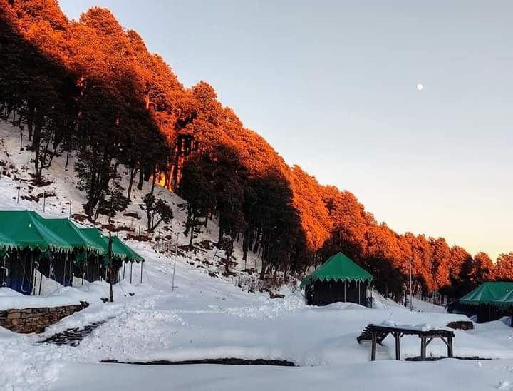 Photo of हिमाचल प्रदेश का एक छोटा-सा स्वर्ग-जीभी। by Mukesh Kumar