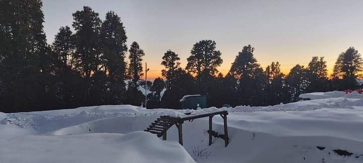 Photo of हिमाचल प्रदेश का एक छोटा-सा स्वर्ग-जीभी। by Mukesh Kumar