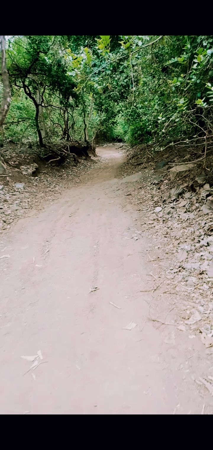 Photo of Junagadh by Helly Rajyaguru