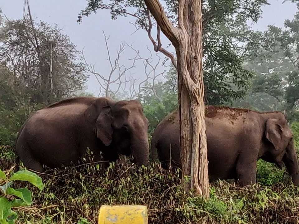 Photo of Queen of Hills - Ooty 2/8 by Kruthika gowda