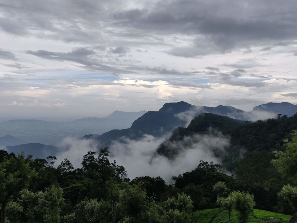 Photo of Queen of Hills - Ooty 6/8 by Kruthika gowda