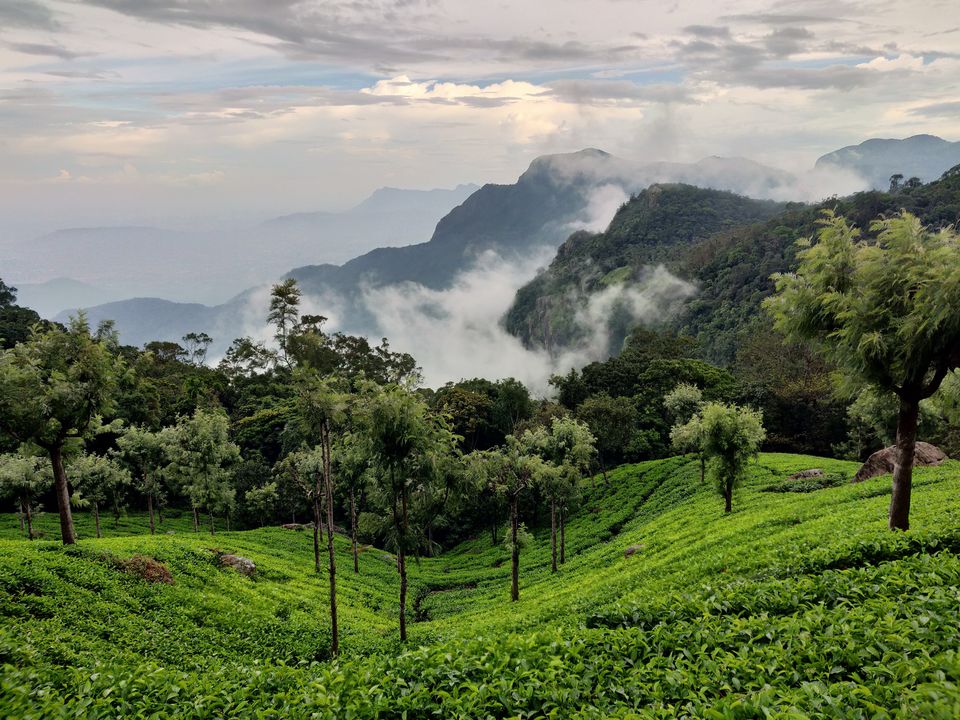 Photo of Queen of Hills - Ooty 7/8 by Kruthika gowda