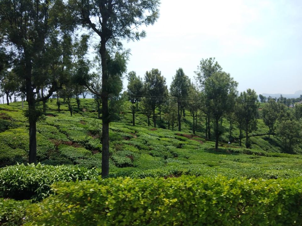 Photo of Valparai - The unexplored wonder 3/5 by Kruthika gowda