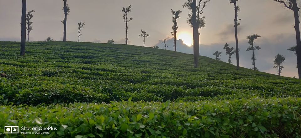 Photo of Valparai - The unexplored wonder 4/5 by Kruthika gowda