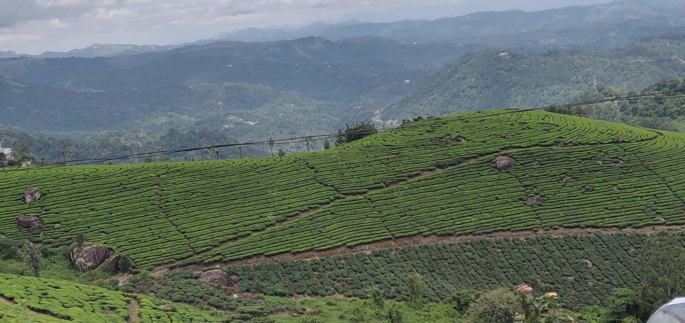 Photo of Tea Capital of Kerala - Munnar 1/4 by Kruthika gowda