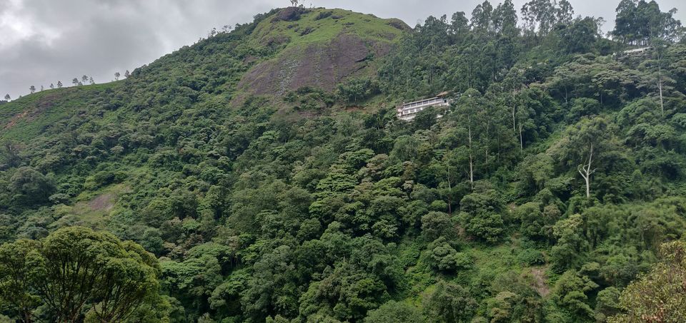 Photo of Tea Capital of Kerala - Munnar 4/4 by Kruthika gowda