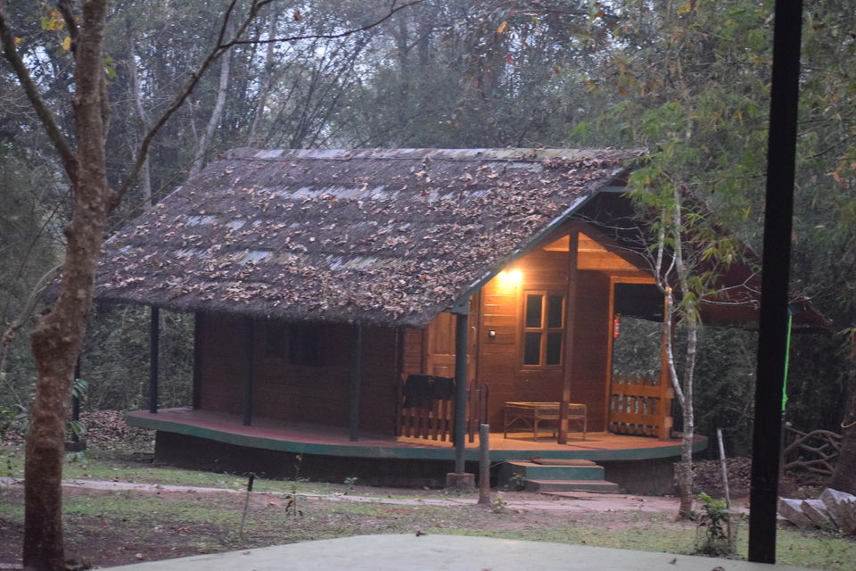 Photo of From not being a big admirer of Elephants to becoming obsessed with them - Sakrebailu Jungle camp 2/9 by Kruthika gowda