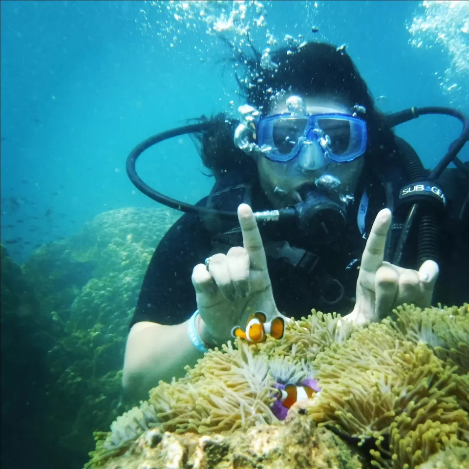 Photo of Phi Phi Islands by 2 Solo Souls