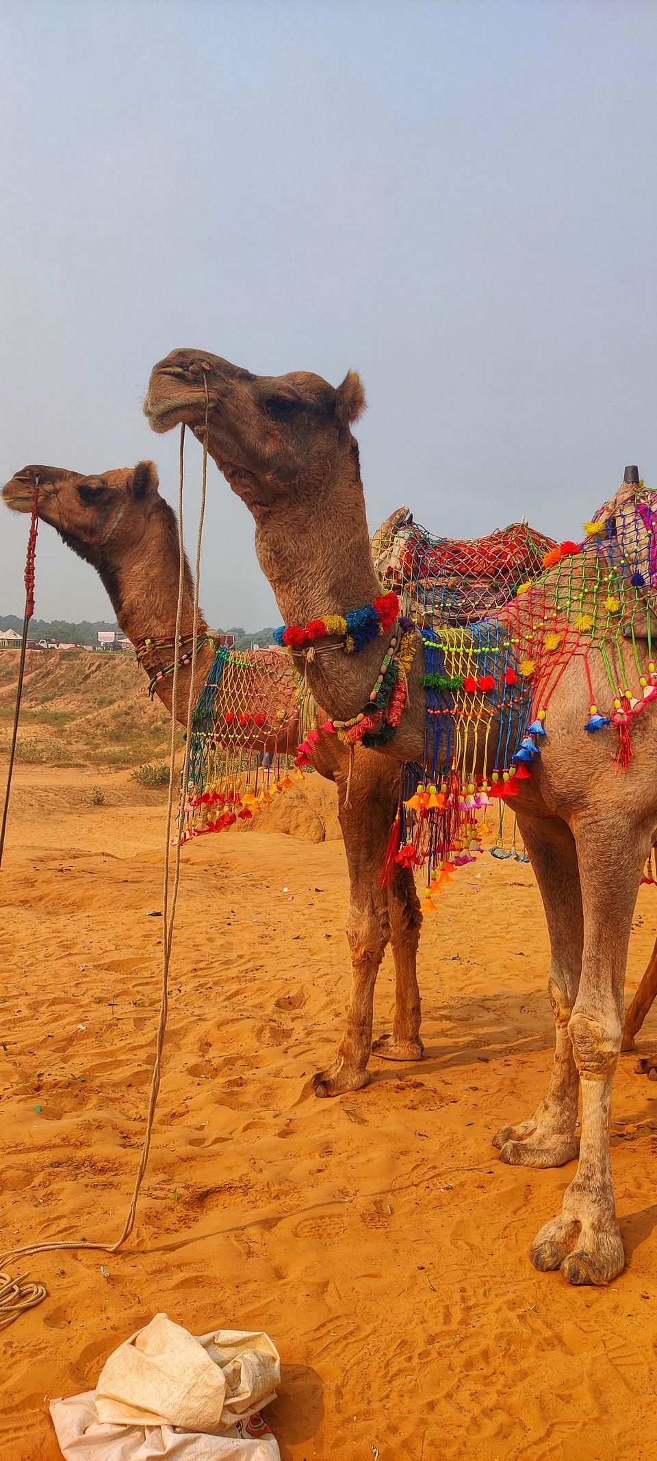 Photo of The Pride Of Rajasthan πͺ #2solosouls #TM2021 by 2 Solo Souls