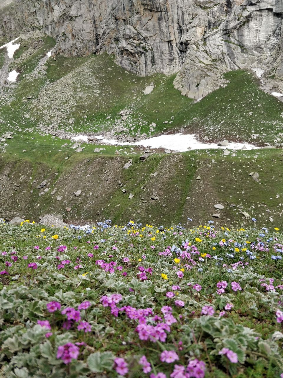 Photo of Chhatru by Prerana Prasanna