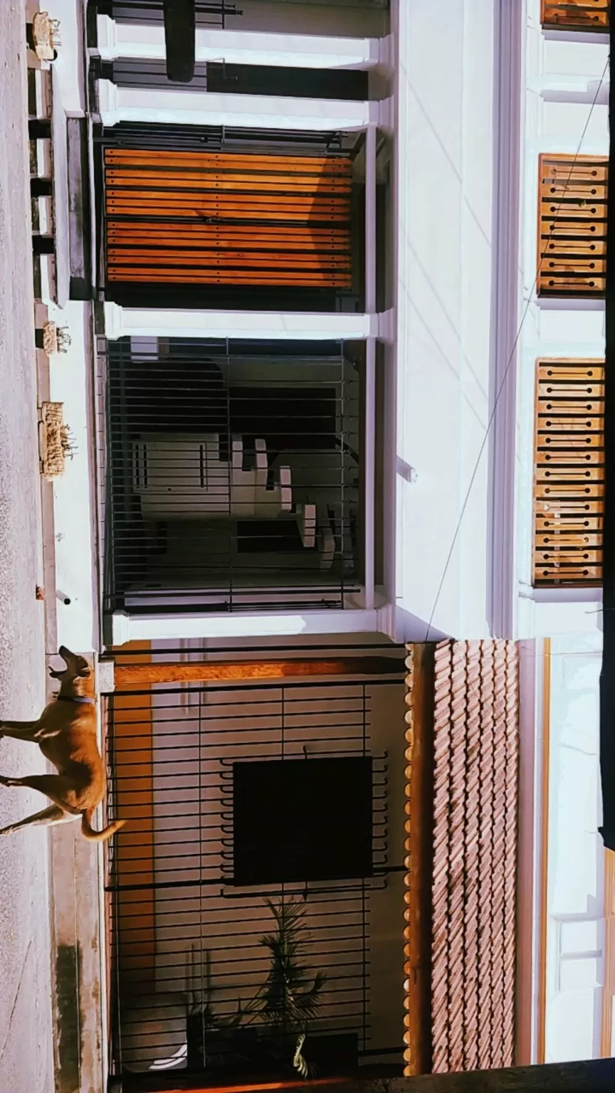 Photo of White Town by Prerana Prasanna