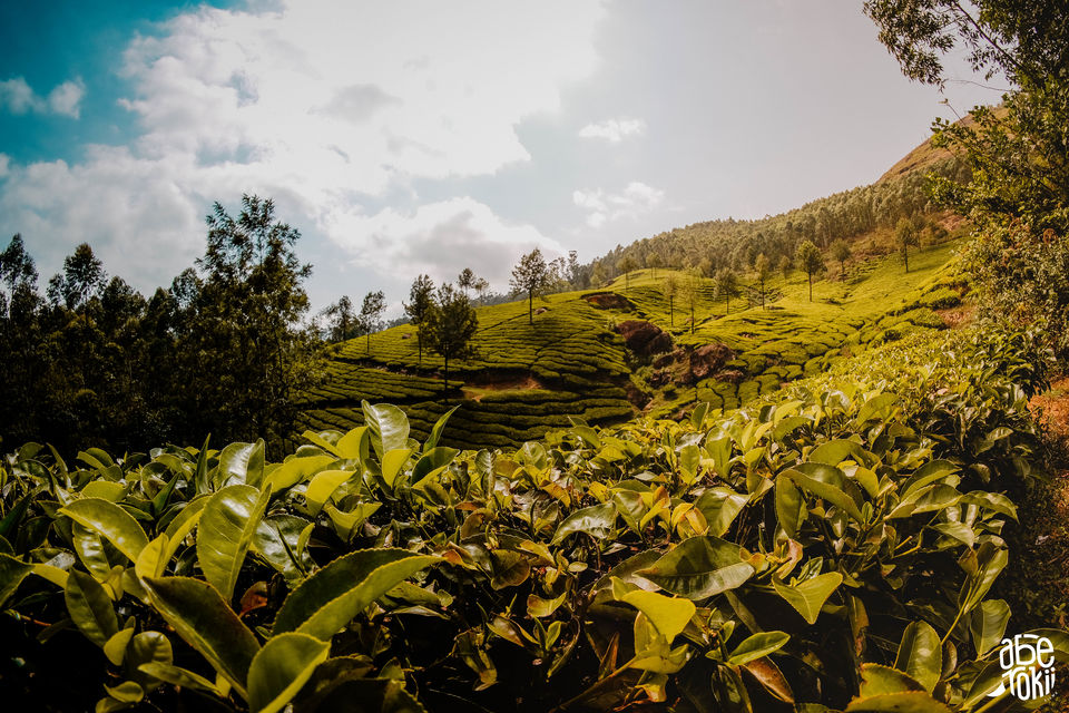 Photo of Kerala 2019 // Solo Trip by Rohan Khinvasara