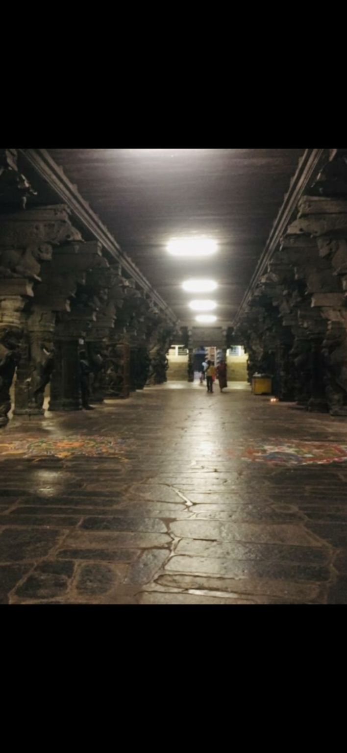 Photo of Nellaiappar temple, Tirunelveli, Tamilnadu by Chinmay Katake