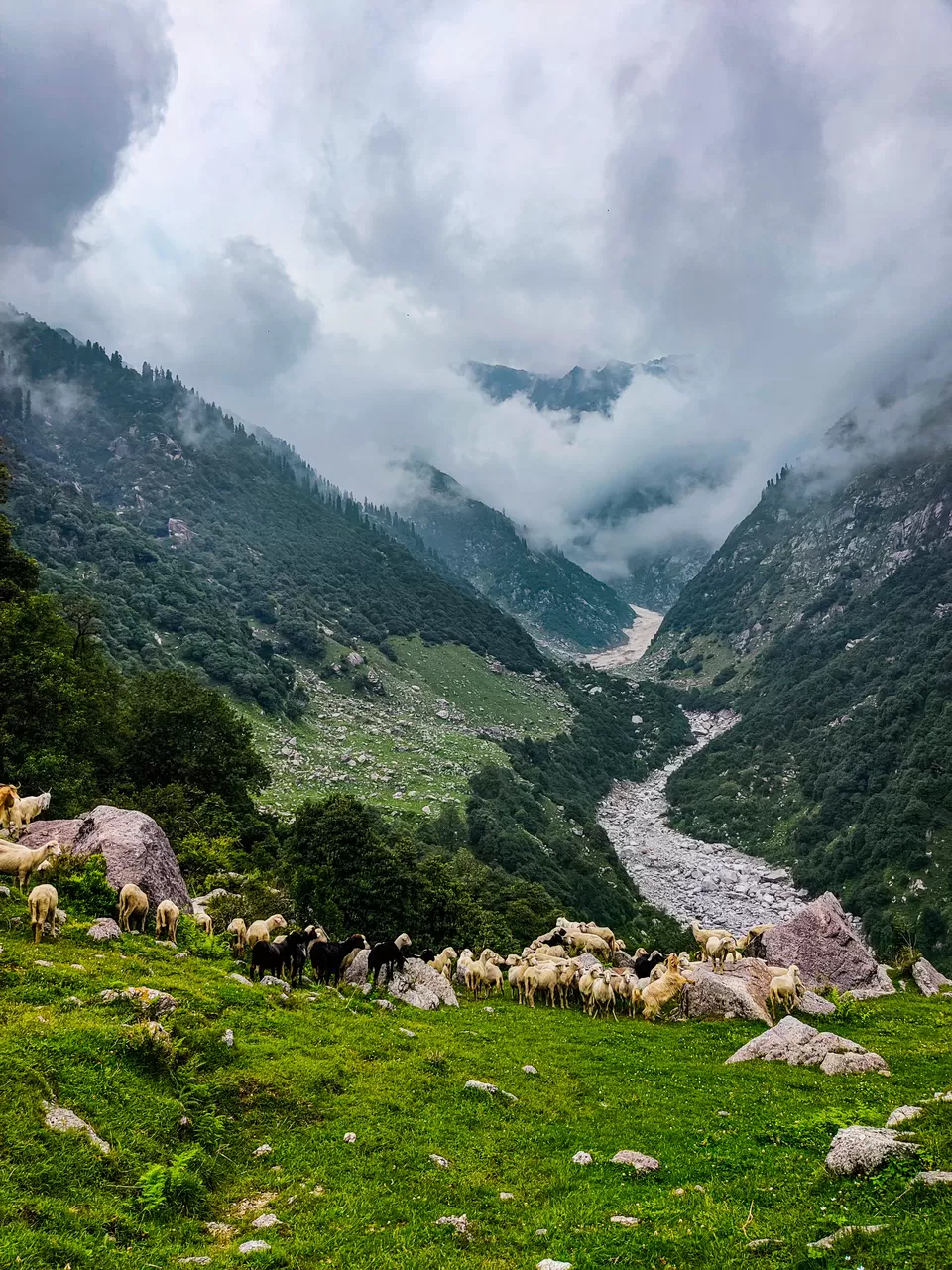 Photo of Thatri by Souls of Dhauladhar