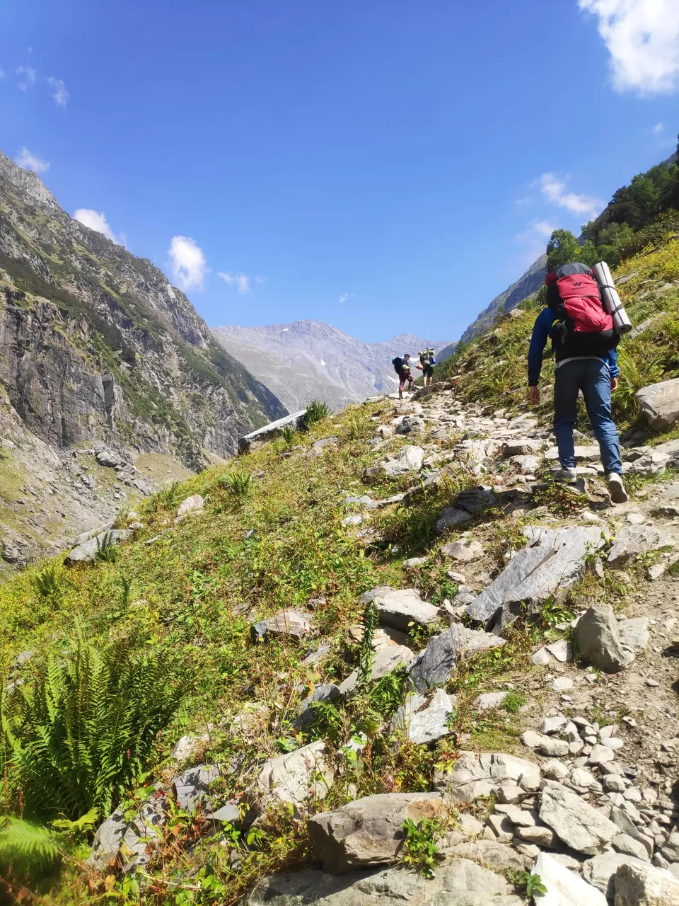 Photo of Thamsar Pass, Thamsar Dhar, Himachal Pradesh by Souls of Dhauladhar