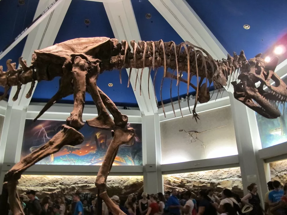 Photo of Smithsonian National Museum of American History, Constitution Avenue Northwest, Washington, DC, USA by Sonika Shriwastav