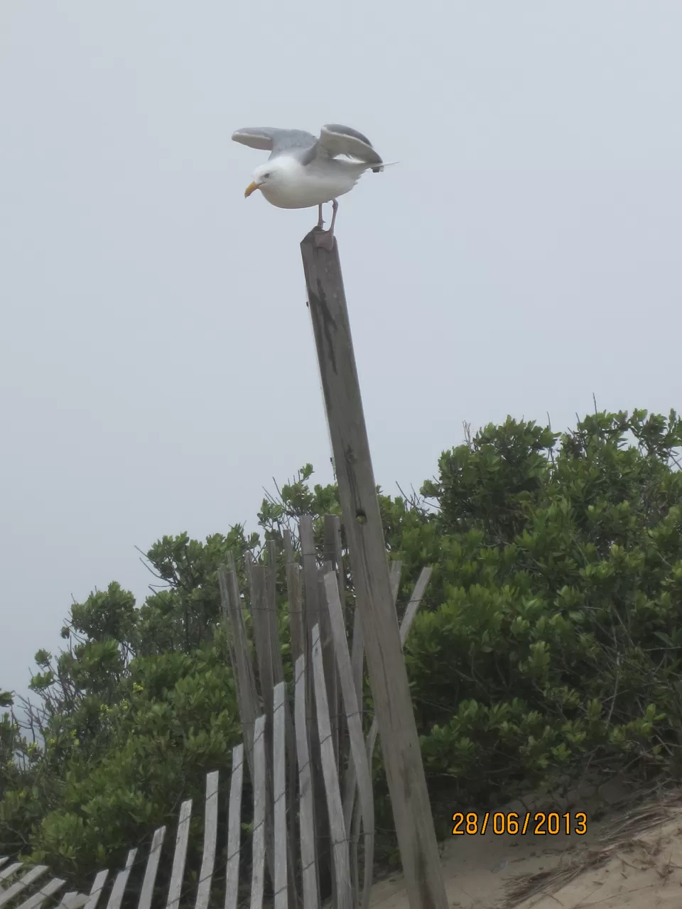 Photo of Block Island North Light, Corn Neck Road, New Shoreham, RI, USA by Sonika Shriwastav
