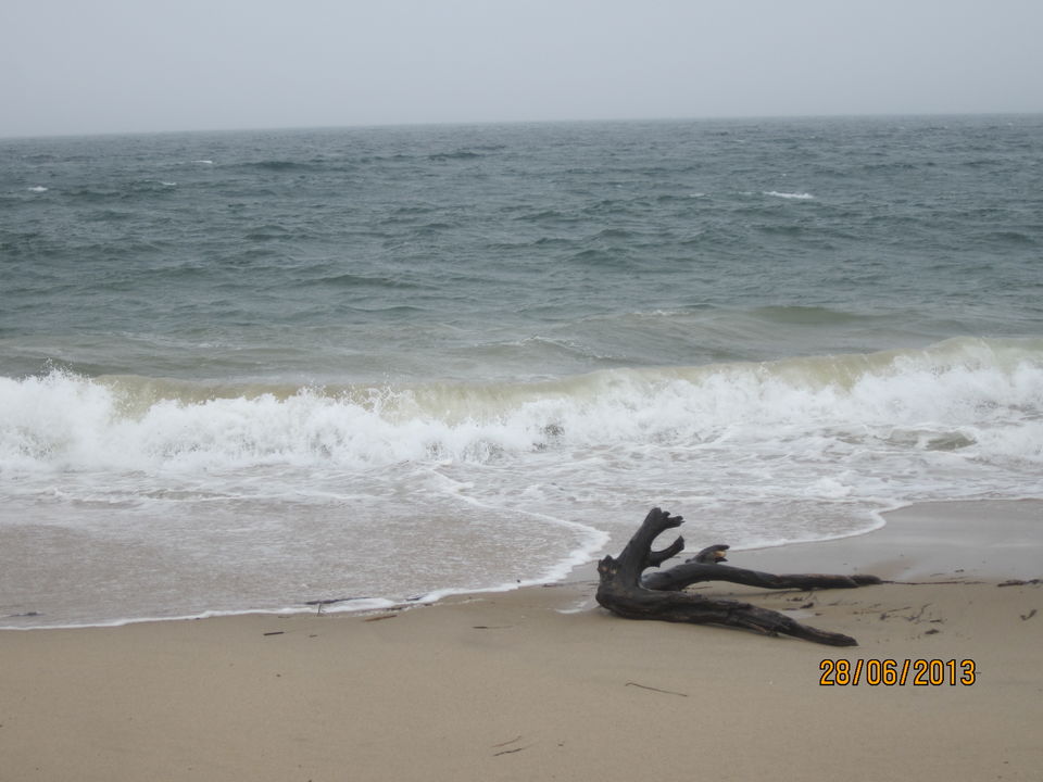 Photo of Foggy island, not-so-foggy memories #DestinationSurprise by Sonika Shriwastav
