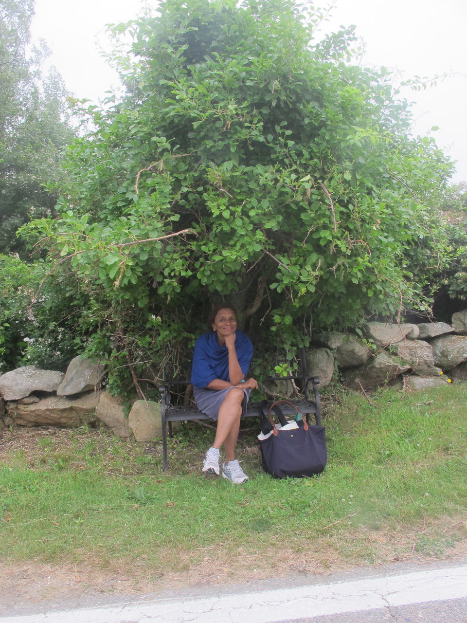 Photo of Foggy island, not-so-foggy memories #DestinationSurprise by Sonika Shriwastav