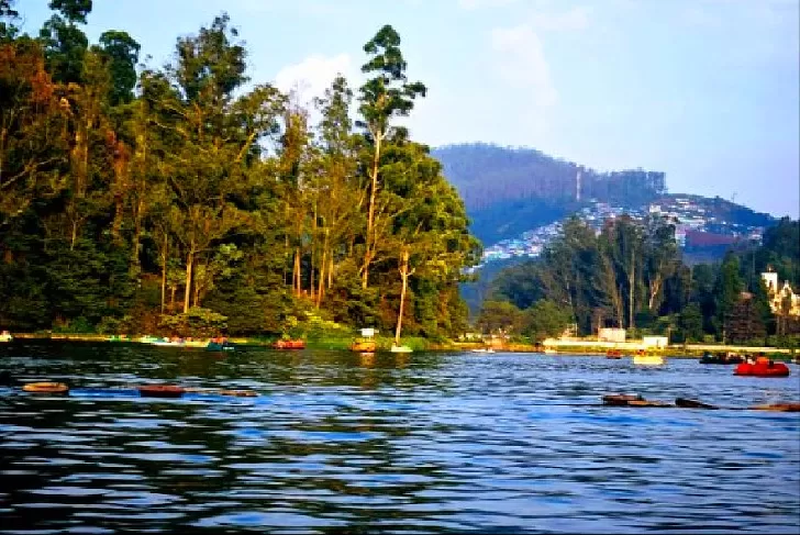 Photo of BEST OF OOTY by Peenal Rathod