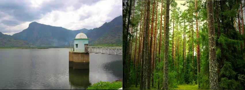 Photo of BEST OF OOTY by Peenal Rathod