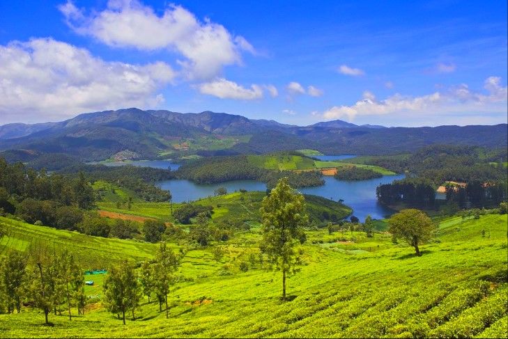 Photo of BEST OF OOTY by Peenal Rathod