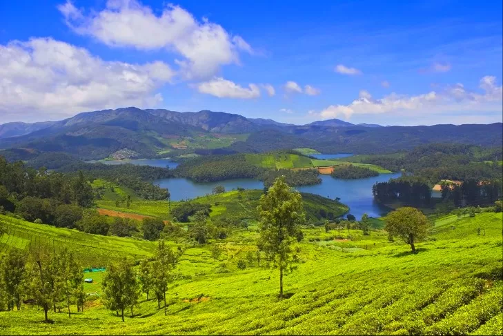 Photo of BEST OF OOTY by Peenal Rathod