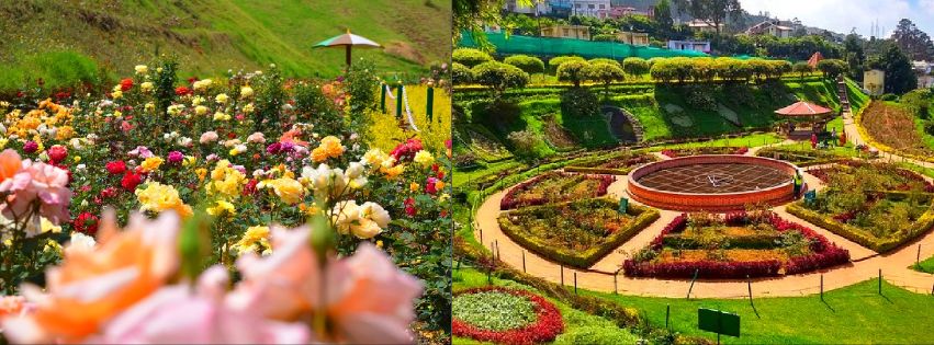 Photo of BEST OF OOTY by Peenal Rathod