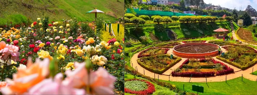 Photo of BEST OF OOTY by Peenal Rathod