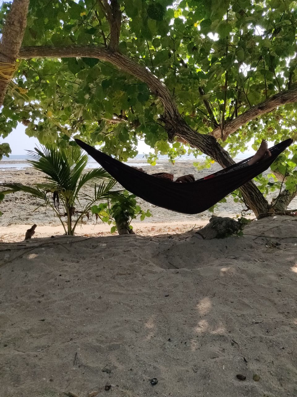 Photo of Neil Island, Andaman and Nicobar Islands by Aditya Mehetre