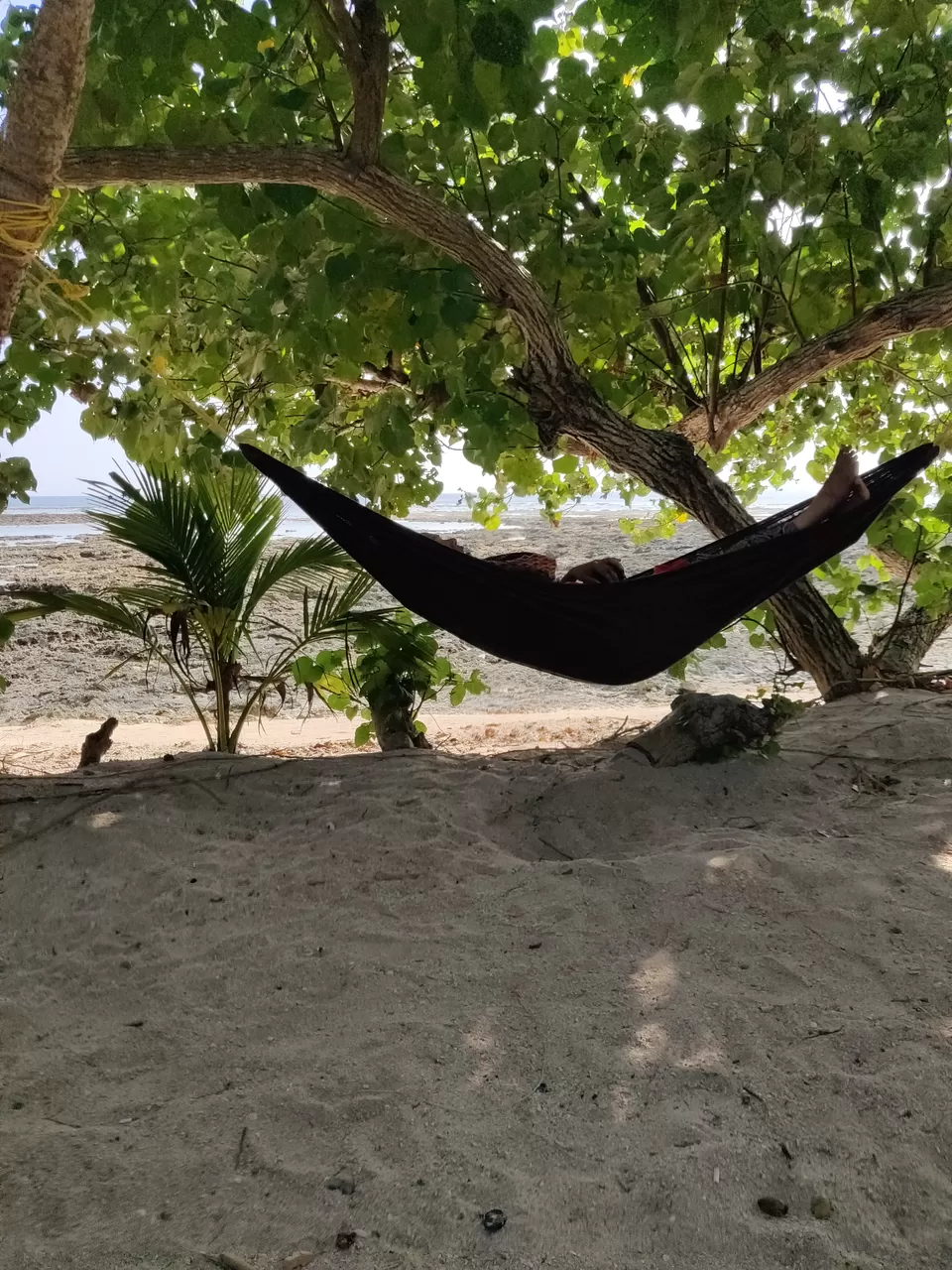 Photo of Neil Island, Andaman and Nicobar Islands by Aditya Mehetre