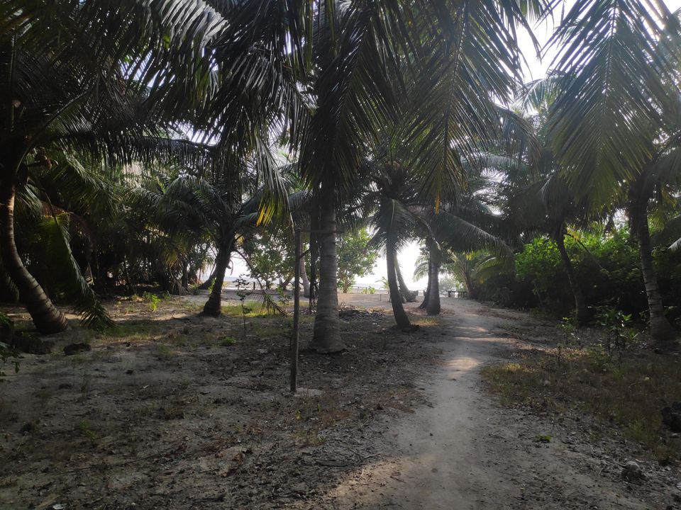 Photo of Neil Island, Andaman and Nicobar Islands by Aditya Mehetre