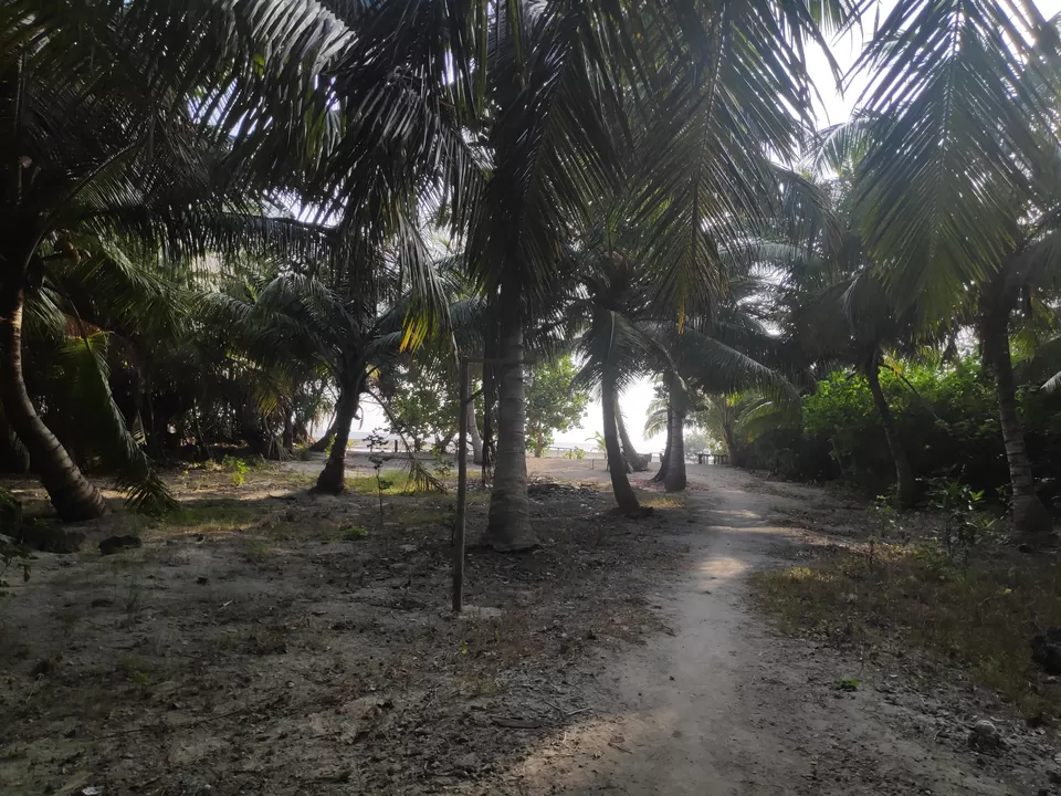 Photo of Neil Island, Andaman and Nicobar Islands by Aditya Mehetre