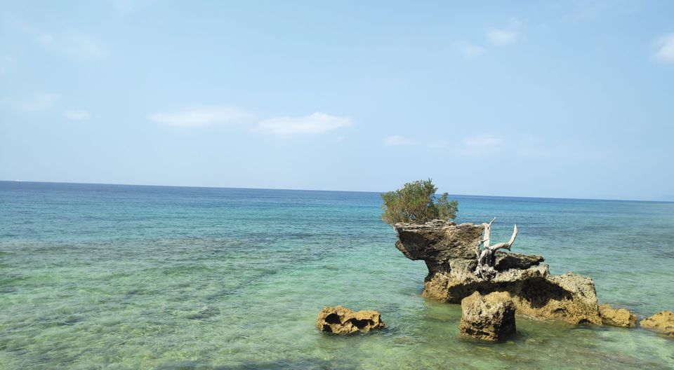 Photo of Neil Island, Andaman and Nicobar Islands by Aditya Mehetre